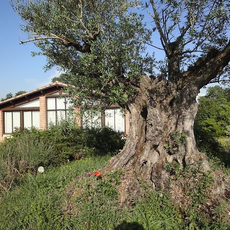 Hotel Chalet Domaine De Combe Ramond Veilhes Exterior foto